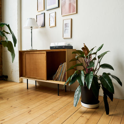 Enhancing Your Music Corner: Creating The Ultimate Record Player Setup