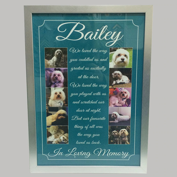 pet memorial frames