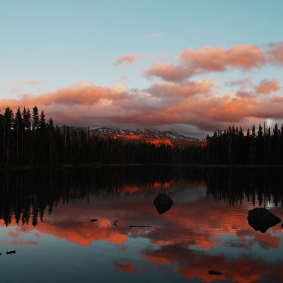 accent color picture framing ides