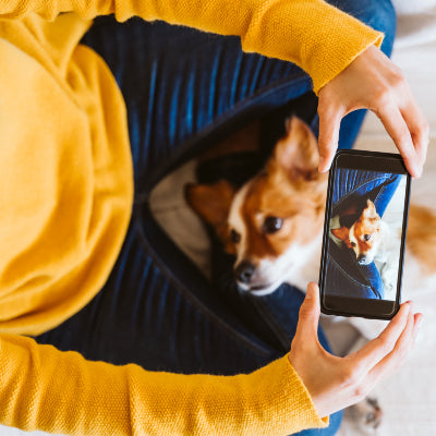 How To Print Photos from iPhone