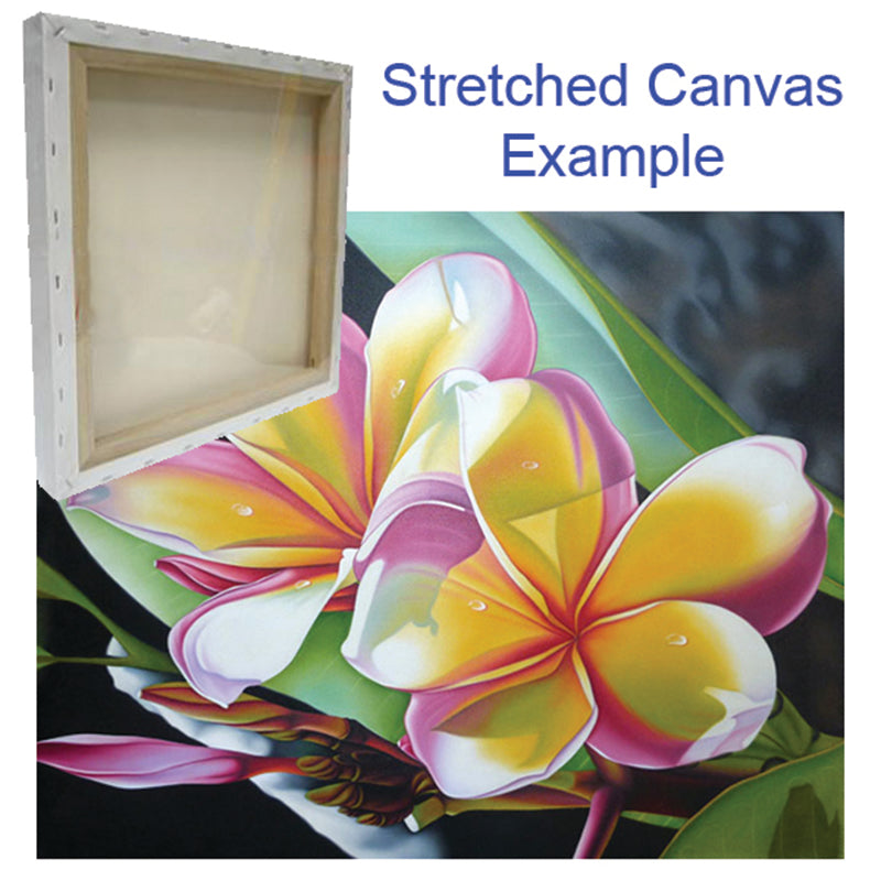 stretched canvas example